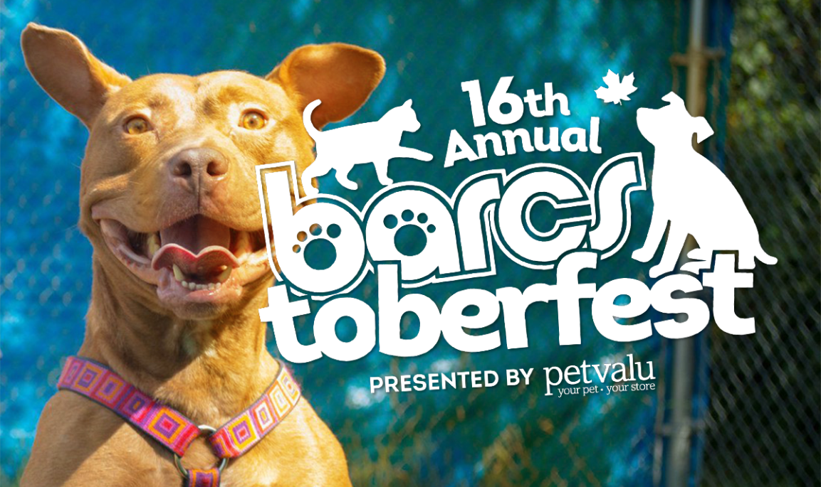 MCF supports 16th Annual 2020&nbsp;BARCStoberfest!